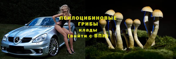ПСИЛОЦИБИНОВЫЕ ГРИБЫ Красноперекопск