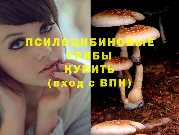 скорость Краснослободск