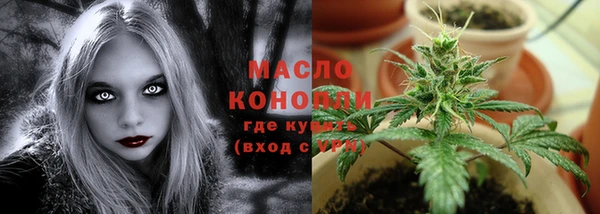 скорость Краснослободск